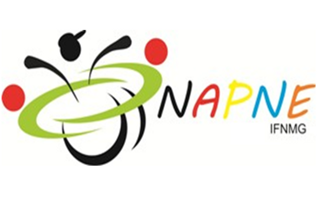 Logo NAPNE IFNMG